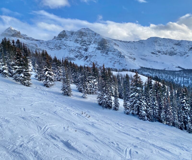 Sunshine Village, Banff, Canada. Image © PlanetSKI